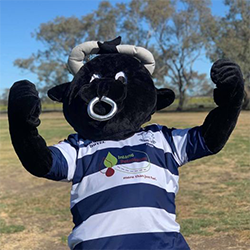 Bogan Bulls Rugby Club Nyngan Mascot